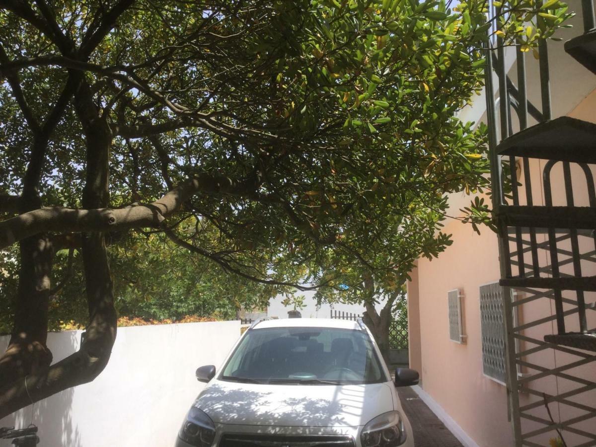Il Marchese Mirante Bed & Breakfast San Pietro in Bevagna Exterior photo